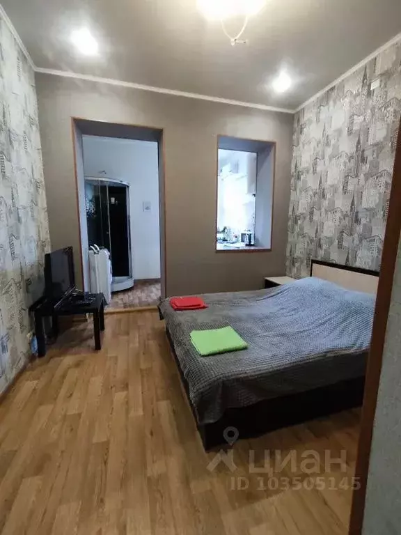 Студия Ставропольский край, Пятигорск просп. Кирова, 12Б (27.0 м) - Фото 1