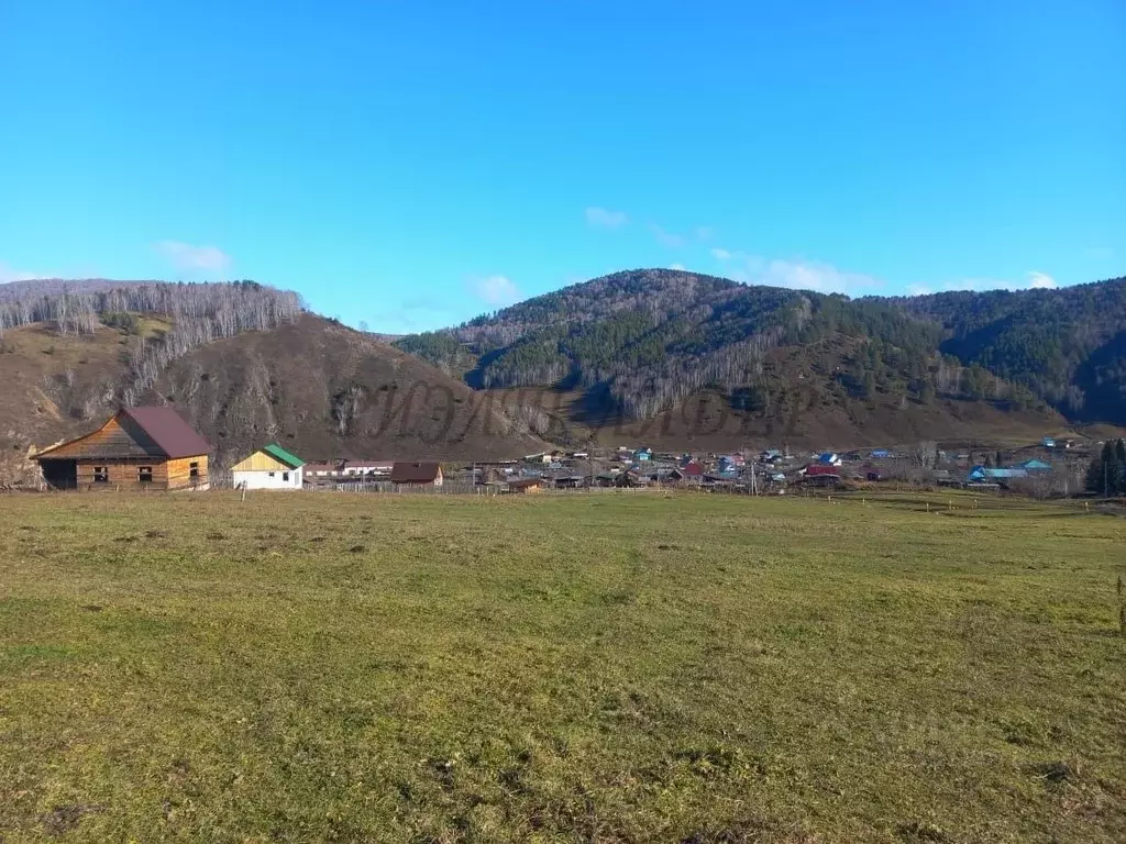Участок в Алтай, Майминский район, с. Бирюля ул. Светлая, 21 (10.0 ... - Фото 1