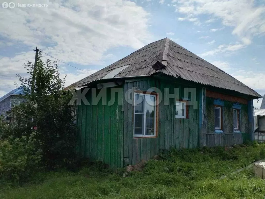 Дом в Искитимский район, Мичуринский сельсовет, деревня Бердь, Речная ... - Фото 1