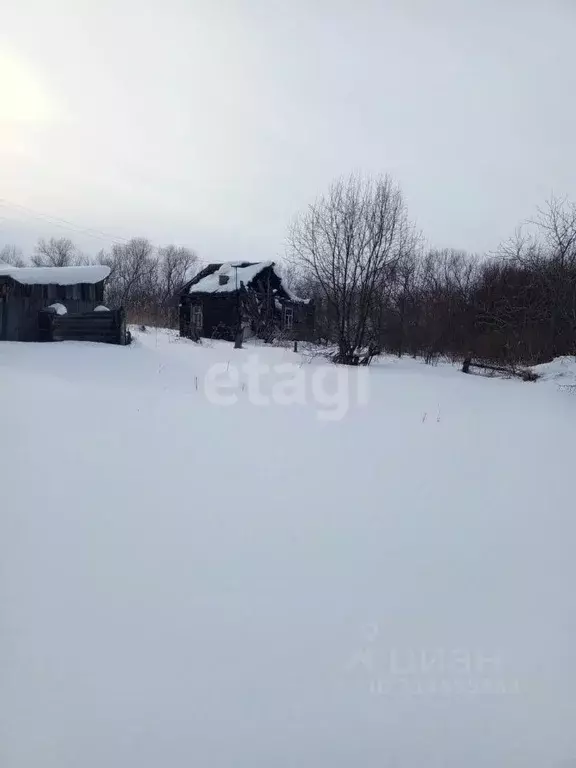 Участок в Алтайский край, Алтайский район, с. Нижнекаменка Сибирский ... - Фото 0