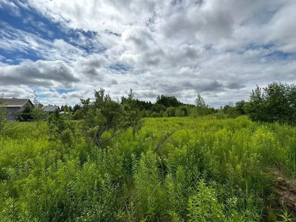 Участок в Нижегородская область, с. Безводное ул. Звездная, 6 (6.0 ... - Фото 1