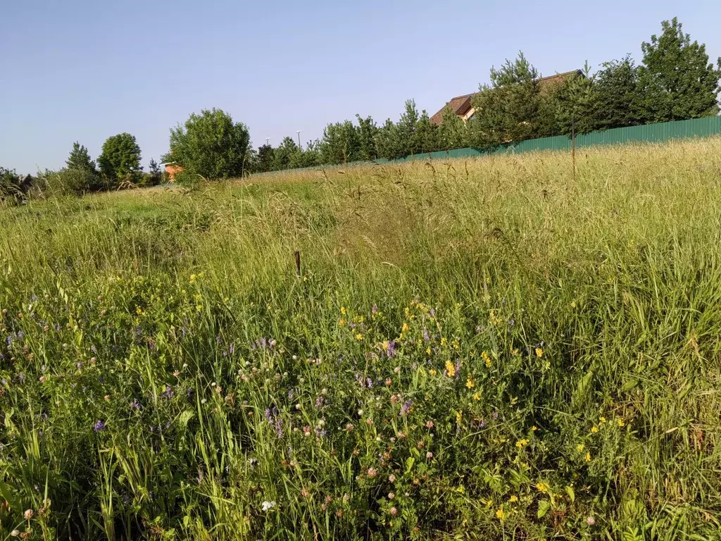 Продается участок в д. Хаустово - Фото 2