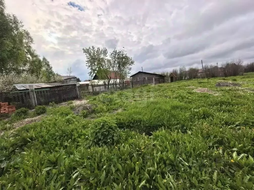 Участок в Кемеровская область, Новокузнецкий муниципальный округ, с. ... - Фото 1