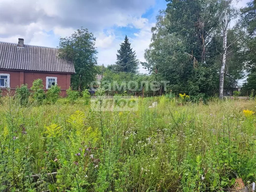 участок в новгородская область, батецкий муниципальный округ, д. . - Фото 1