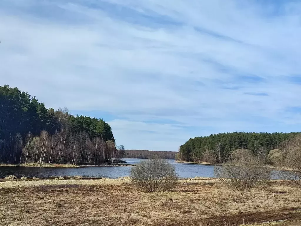 Участок в Тверская область, Калязинский муниципальный округ, д. ... - Фото 1