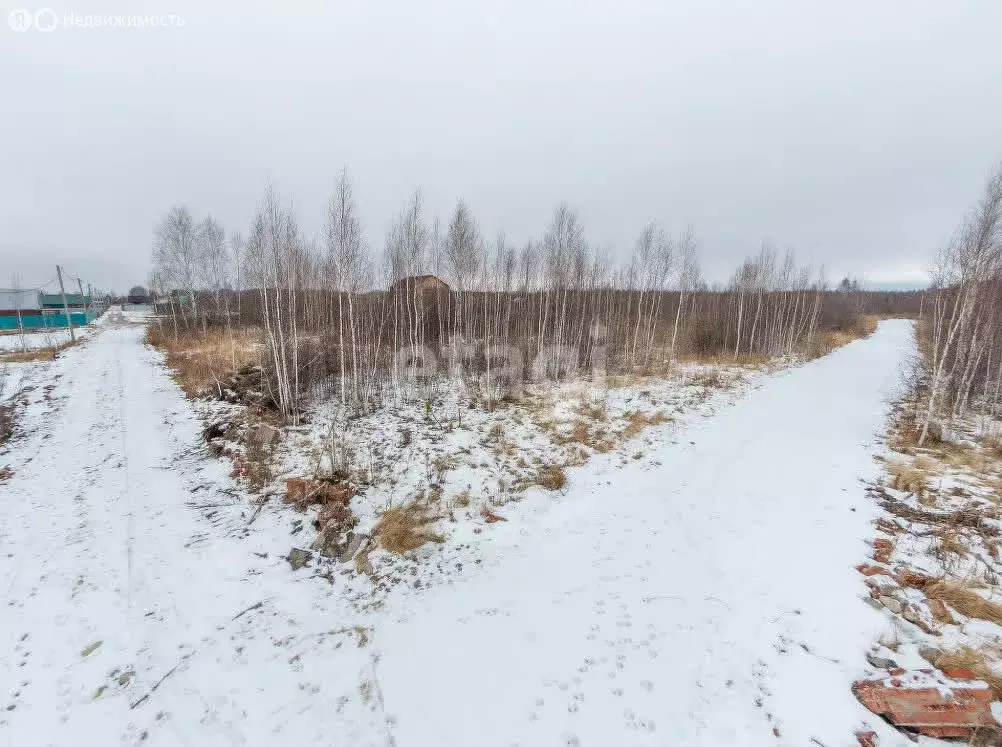 Участок в Нижнетавдинский район, садовое товарищество Душевное, 5-я ... - Фото 0