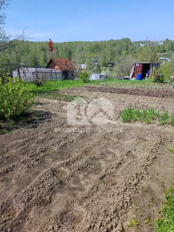 Участок в Новосибирская область, Новосибирск Ветеран СНТ, ул. ... - Фото 0