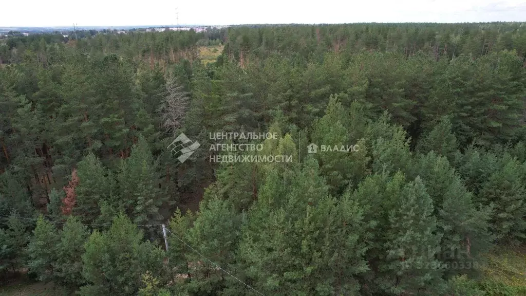 Участок в Рязанская область, Рязанский район, Мурминское с/пос  (6.0 ... - Фото 1