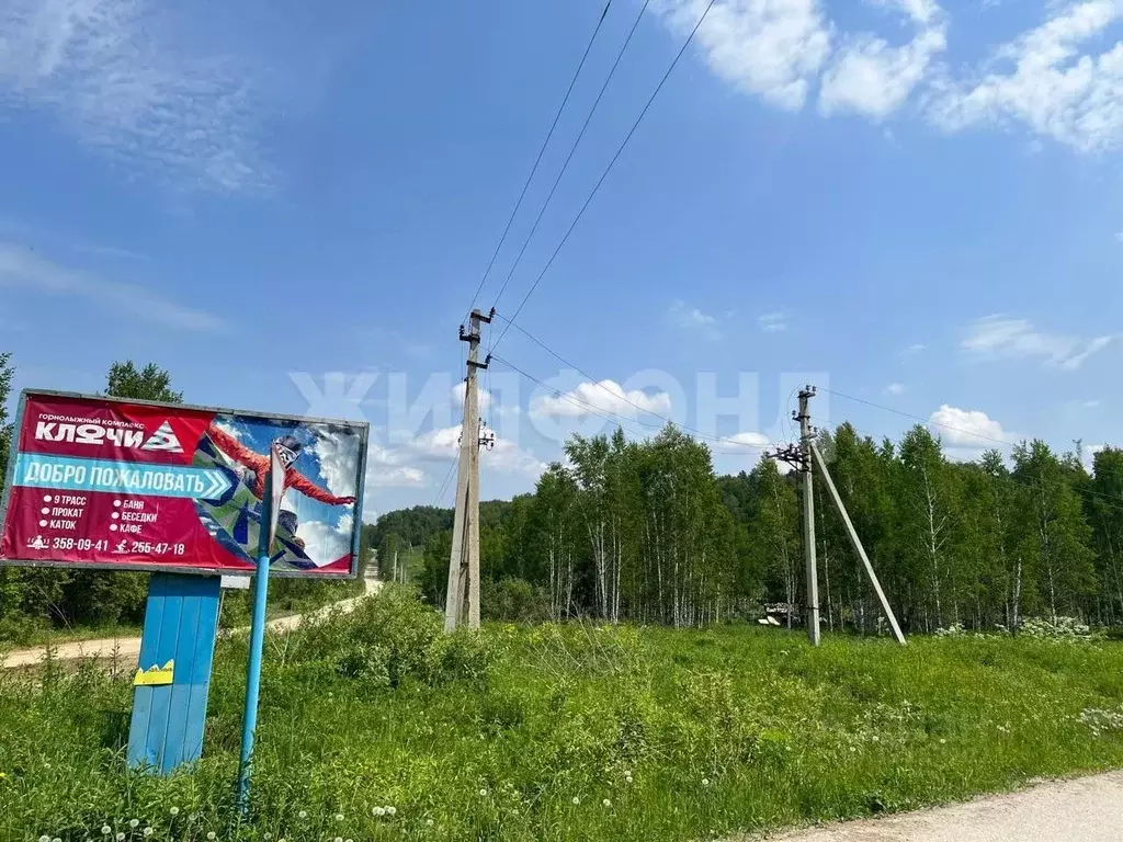 Участок в Новосибирская область, Новосибирский район, Барышевский ... - Фото 2