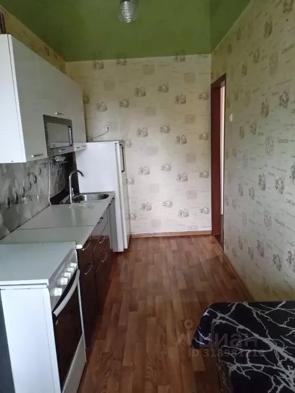 1-к кв. Курганская область, Курган Заозерный жилрайон, 1-й мкр, ул. ... - Фото 0