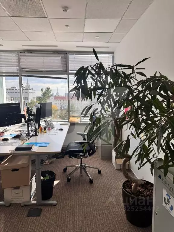 Офис в Москва ул. Гашека, 6 (391 м) - Фото 1