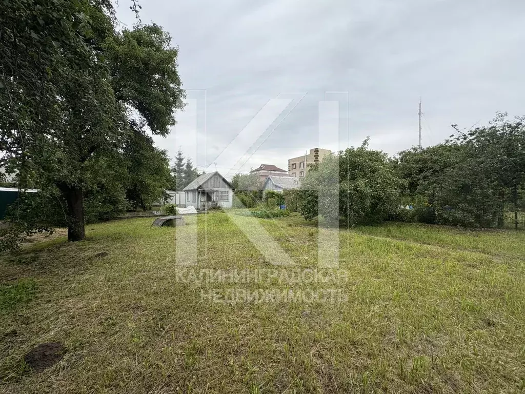 Участок в Калининградская область, Калининград Портовик СНТ, ул. Аллея ... - Фото 1