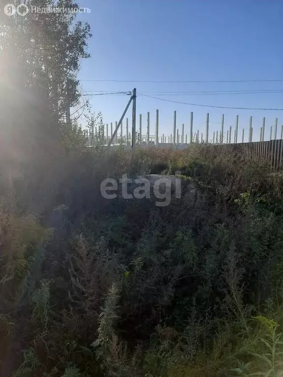 Участок в Раменский городской округ, село Софьино (5 м) - Фото 1