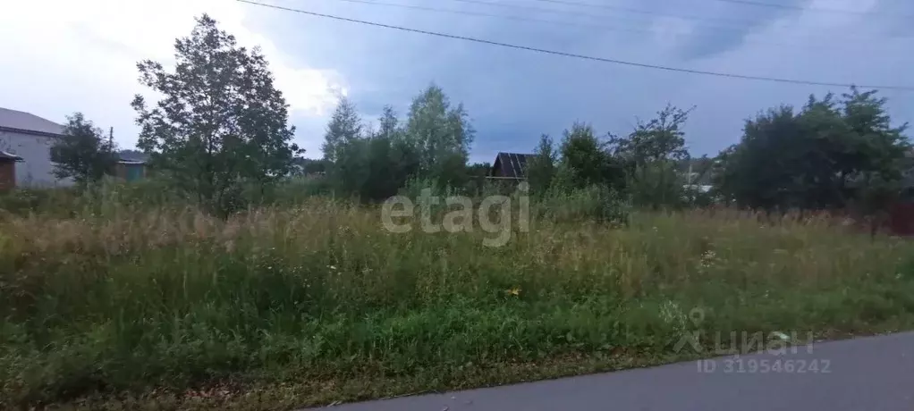 Участок в Владимирская область, Селивановский муниципальный округ, с. ... - Фото 1