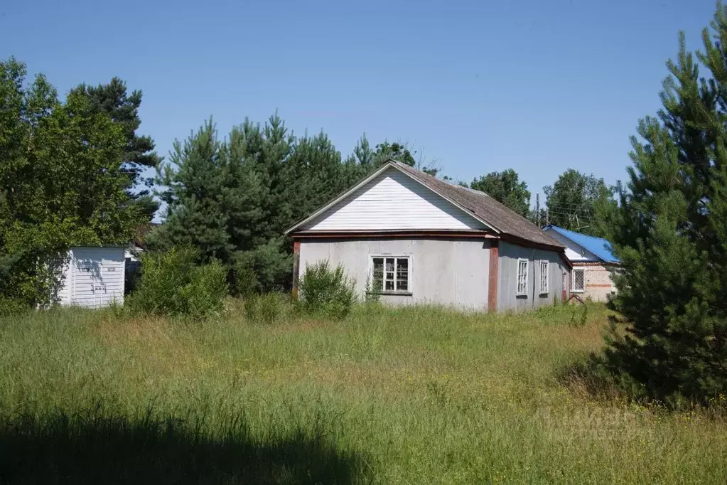Офис в Приморский край, с. Черниговка ул. Набережная, 43 (135 м) - Фото 0