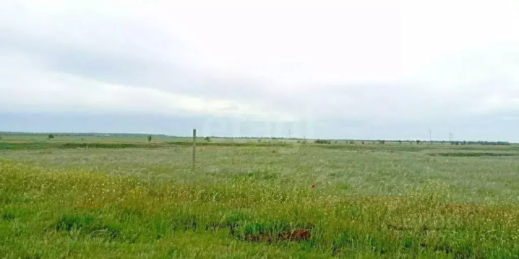 Участок в Крым, Ленинский район, с. Луговое ул. Шагиняна (458.0 сот.) - Фото 1