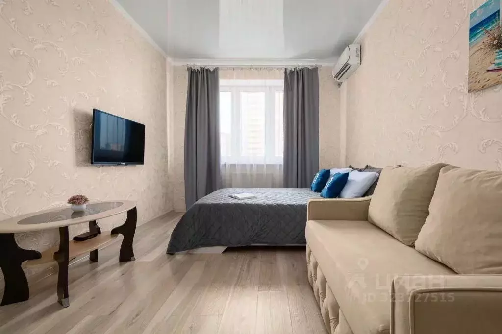 1-к кв. Краснодарский край, Краснодар ул. Им. Героя Сарабеева В.И., ... - Фото 2