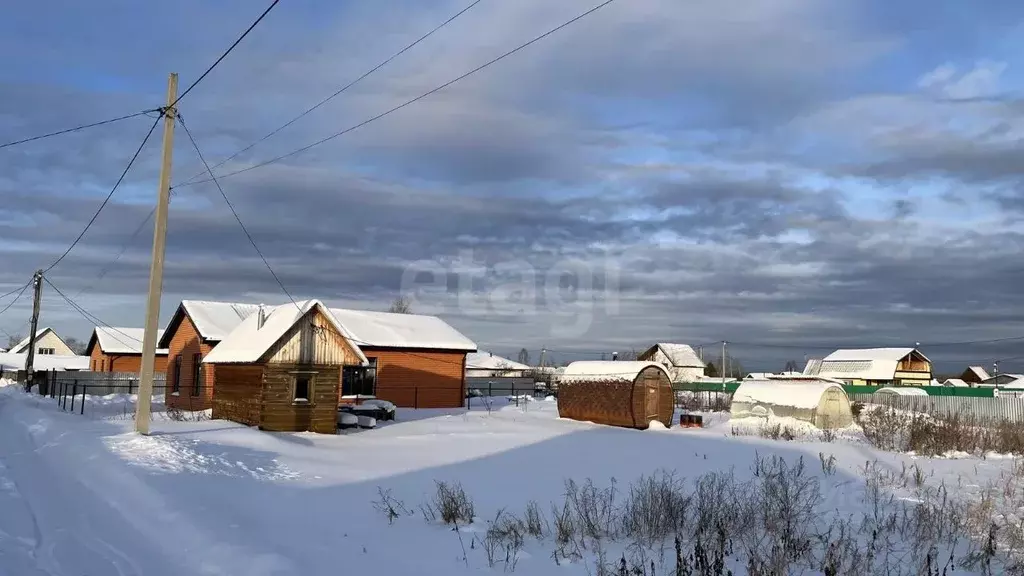 Участок в Тюменская область, Тюмень Царево садовое товарищество, 164 ... - Фото 2