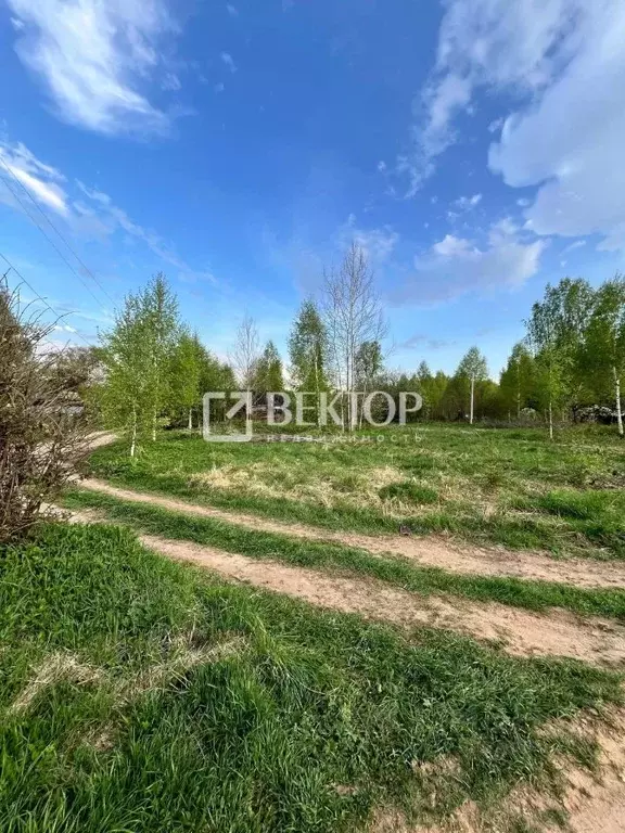 Участок в Костромская область, Судиславский муниципальный округ, д. ... - Фото 1