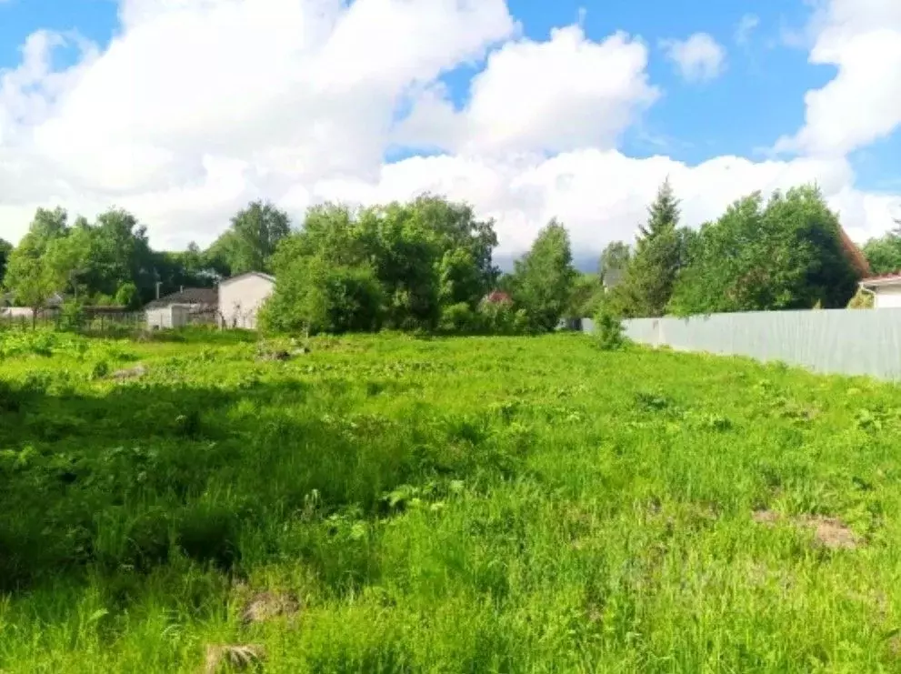 Участок в Московская область, Чехов муниципальный округ, д. Люторецкое ... - Фото 1