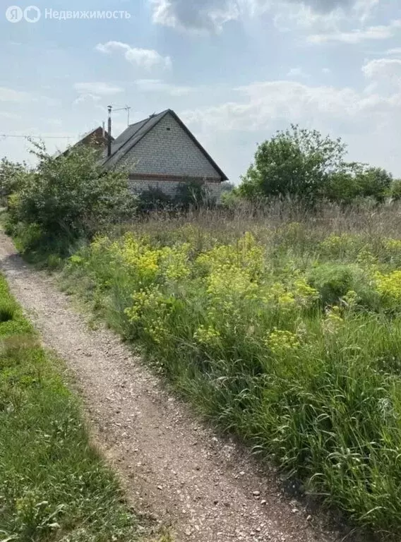 Участок в Наумовский сельсовет, СНТ Ильмень, Поле № 3 (6 м) - Фото 1
