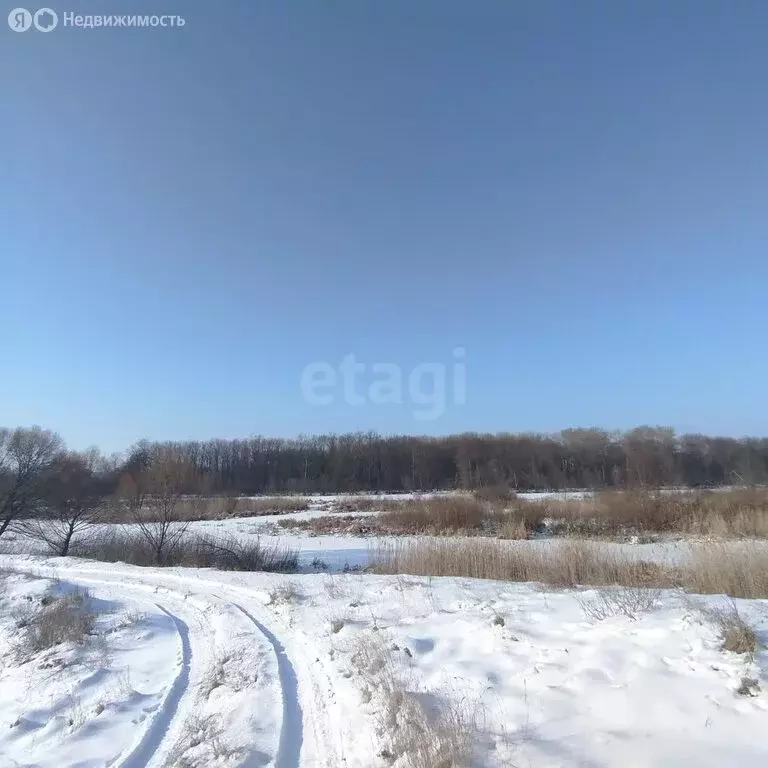 Участок в село Богана, Советская улица (20 м) - Фото 0