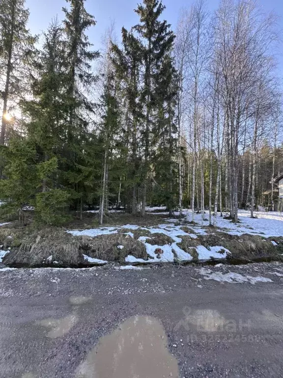 Участок в Ленинградская область, Всеволожск пер. Литературный (13.0 ... - Фото 1