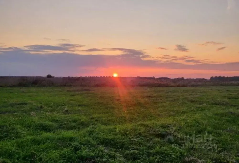 Участок в Ленинградская область, Ломоносовский район, Копорское с/пос, ... - Фото 2