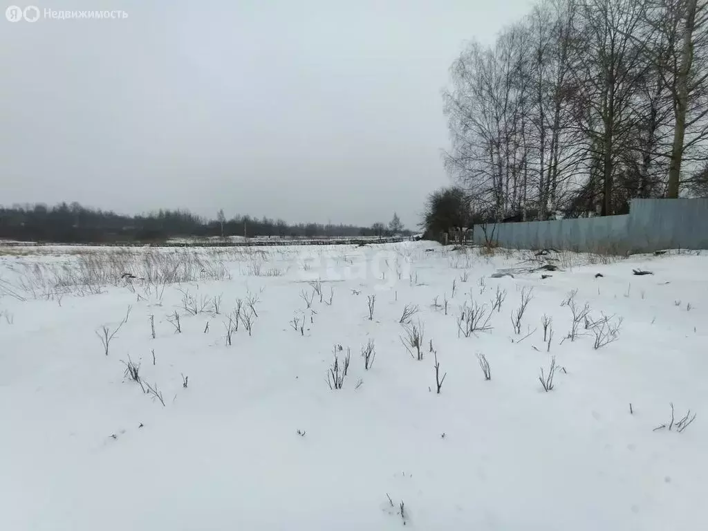 Участок в Ярославский район, Карабихское сельское поселение, деревня ... - Фото 1