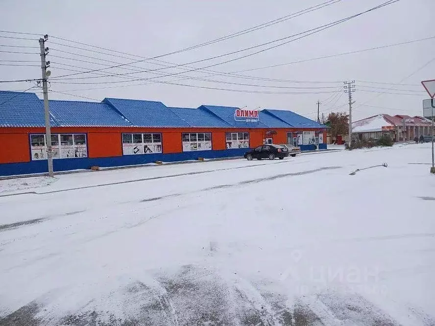 Торговая площадь в Челябинская область, Карталы ул. Пьянзина, 1А (927 ... - Фото 1