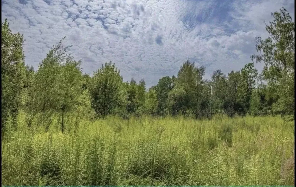 Участок в Московская область, Одинцовский городской округ, д. ... - Фото 2