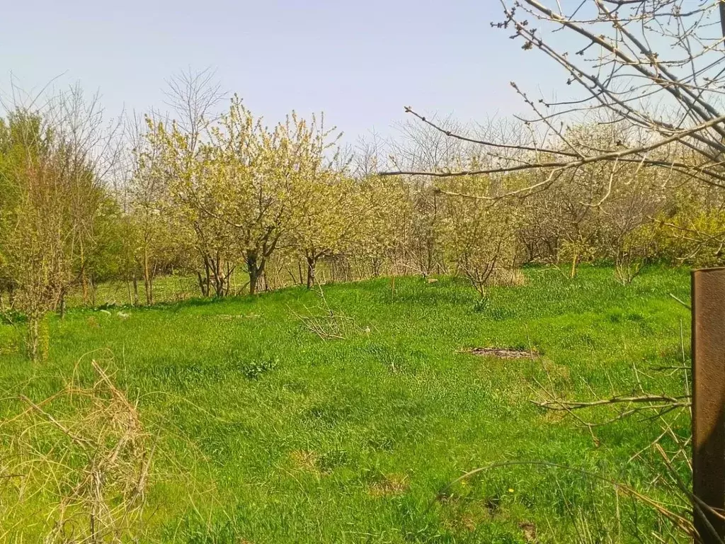 Участок в Краснодарский край, Анапа муниципальный округ, Веселая Гора ... - Фото 2