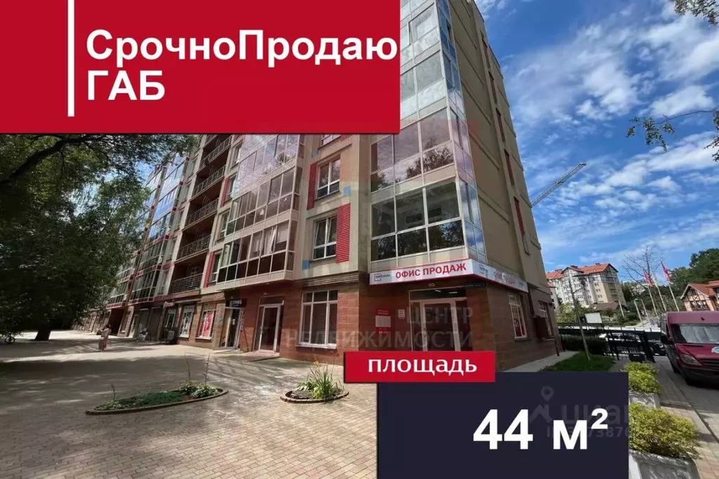 Помещение свободного назначения в Калининградская область, Светлогорск ... - Фото 1