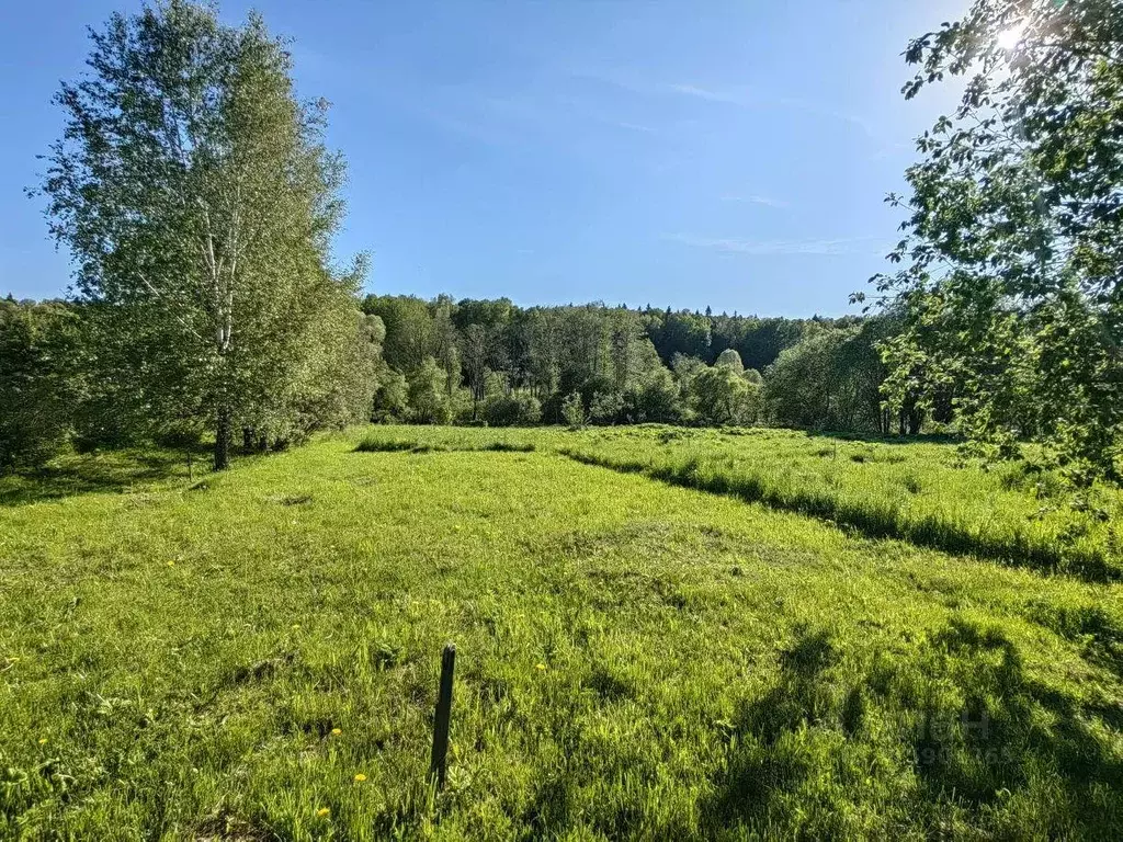 Участок, 17 сот., поселения (ижс) - Фото 1