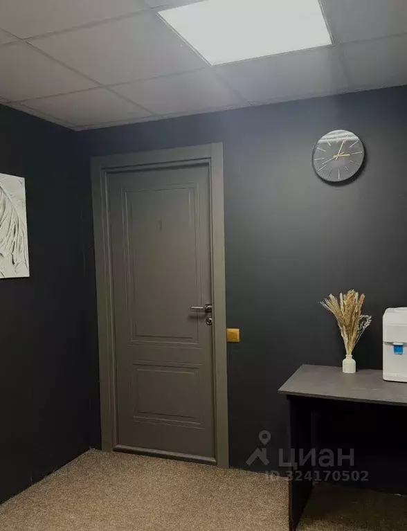 Помещение свободного назначения в Санкт-Петербург ул. Маяковского, 50 ... - Фото 2