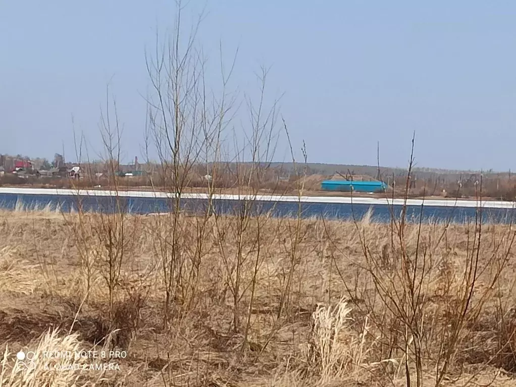 Участок в Пермский край, д. Луговая (Усть-Качкинское сельское ... - Фото 1