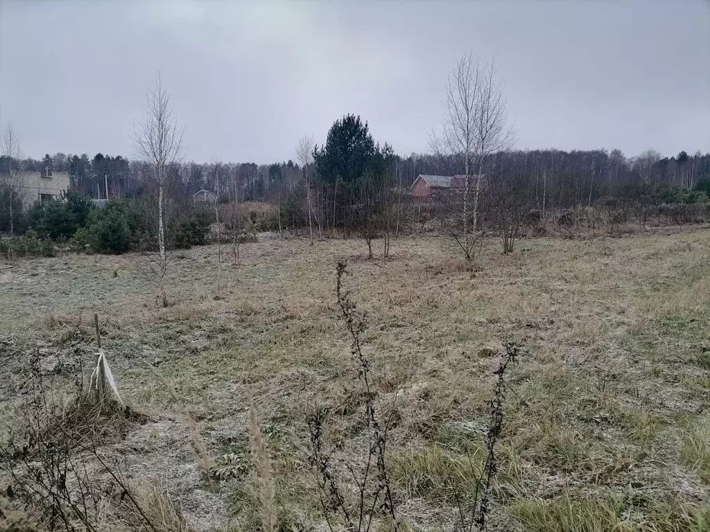 Участок в Калужская область, Калуга городской округ, д. Карачево ул. ... - Фото 2