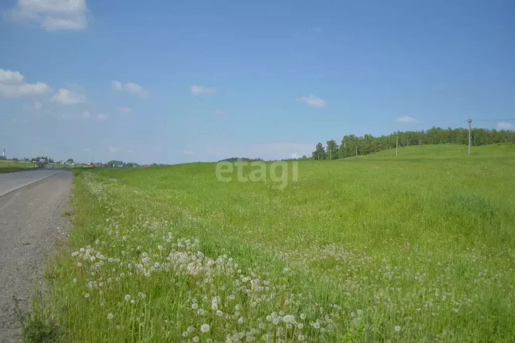 Участок в Кемеровская область, Прокопьевск Сафоново мкр,  (15.0 сот.) - Фото 0