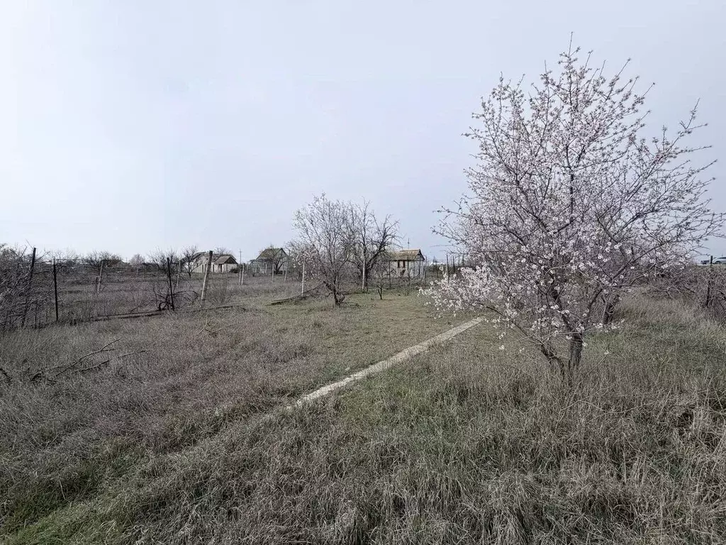 Участок в Крым, Саки Энергетик СНТ,  (6.0 сот.) - Фото 1