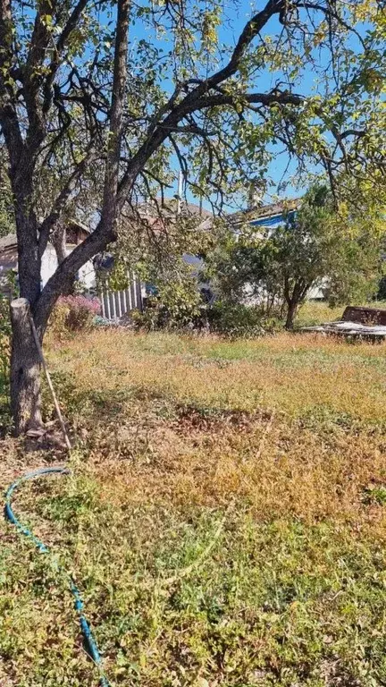 Участок в Краснодарский край, Новороссийск городской округ, Раевская ... - Фото 1
