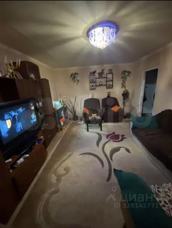 1-к кв. Адыгея, Майкоп Короткая ул., 111 (35.5 м) - Фото 2