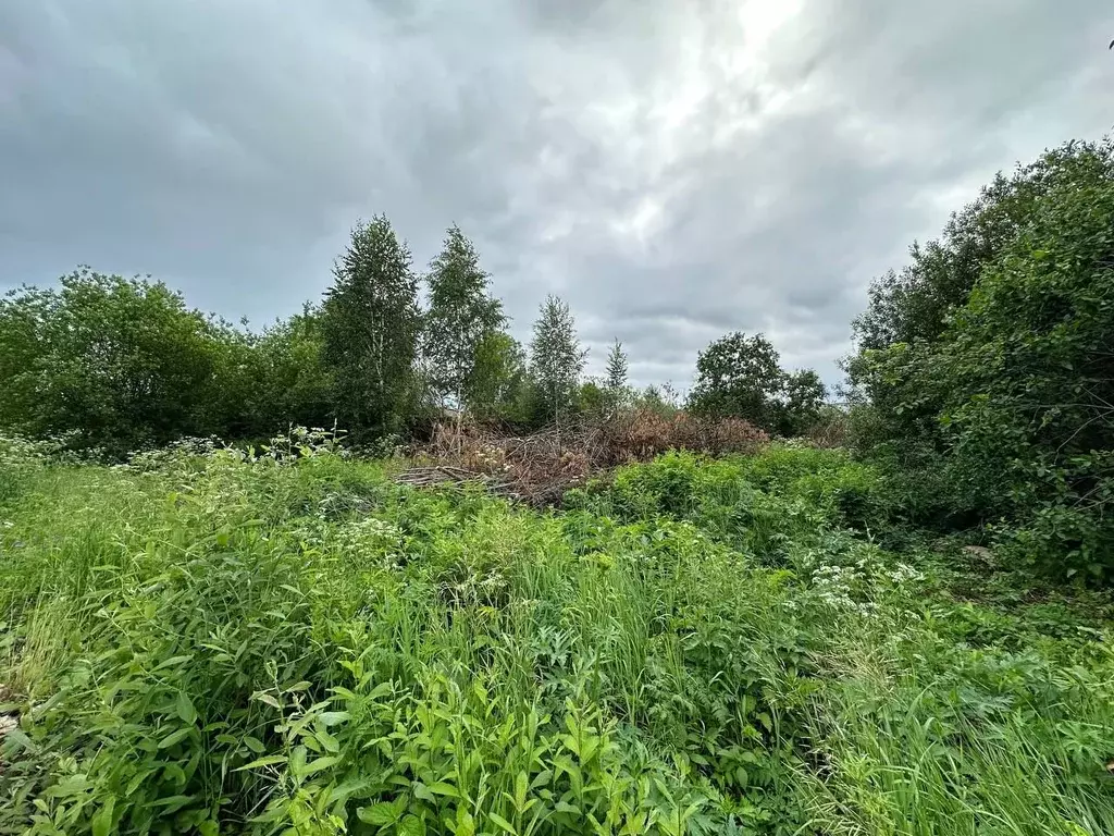 Участок в Пермский край, Пермский муниципальный округ, пос. Ферма ... - Фото 1