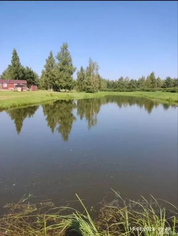 Участок в Рязанская область, Скопинский муниципальный округ, ... - Фото 2