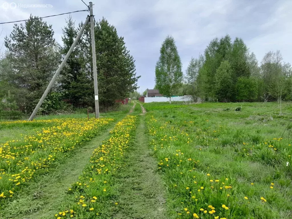 Участок в Вологодская область, Шекснинский муниципальный округ, ... - Фото 2