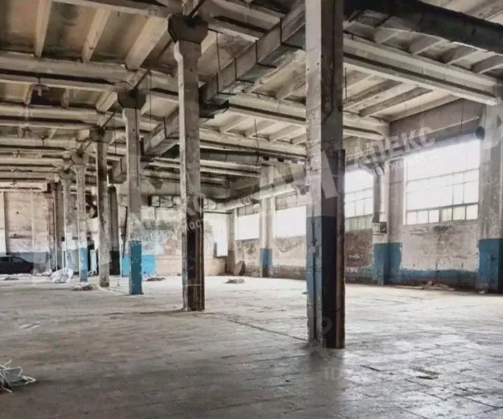 Склад в Московская область, Рузский муниципальный округ, пос. ... - Фото 1