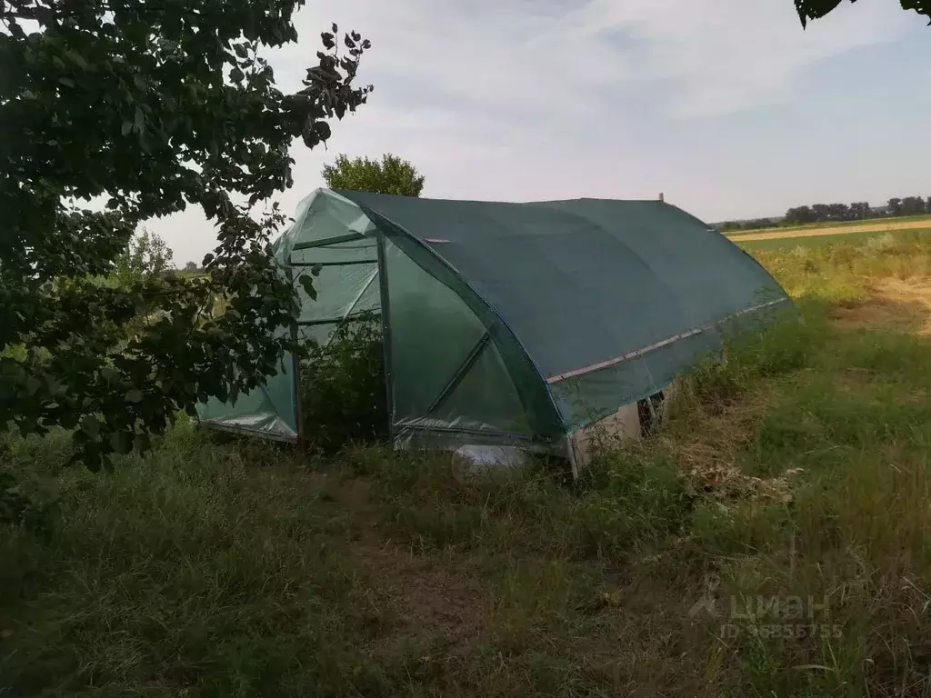 Малая неклиновка. Сот 5м. Авито Глазов огороды дачи. Неклиновка Ростовская область