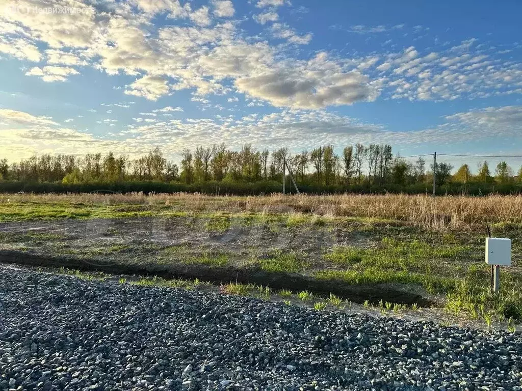 Участок в Тюменский район, деревня Решетникова (6.3 м) - Фото 1