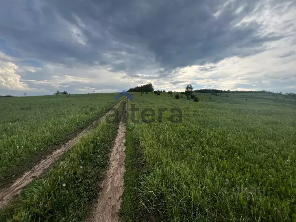 Участок в Татарстан, Высокогорский район, с. Мемдель ул. Галиаскара ... - Фото 1