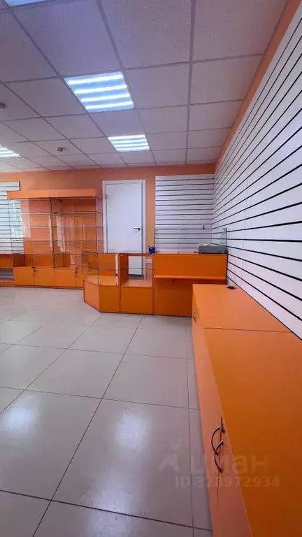 Торговая площадь в Воронежская область, Семилуки Комсомольская ул., 10 ... - Фото 2