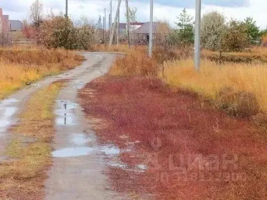 Участок в Самарская область, Ставропольский район, с. Ягодное ... - Фото 1
